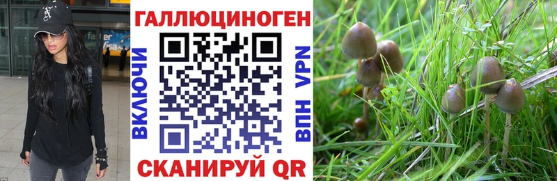 Купить  Стрежевой  Галлюциногенные грибы мухоморы 