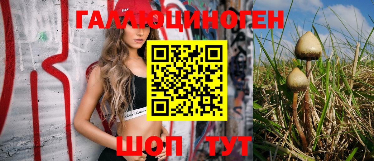 Псилоцибиновые грибы ЛСД  Псилоцибиновые грибы ЛСД  Вход с VPN  Стрежевой 