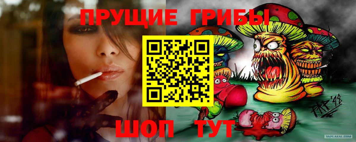 Галлюциногенные грибы GOLDEN TEACHER  где купить наркотик  Стрежевой 