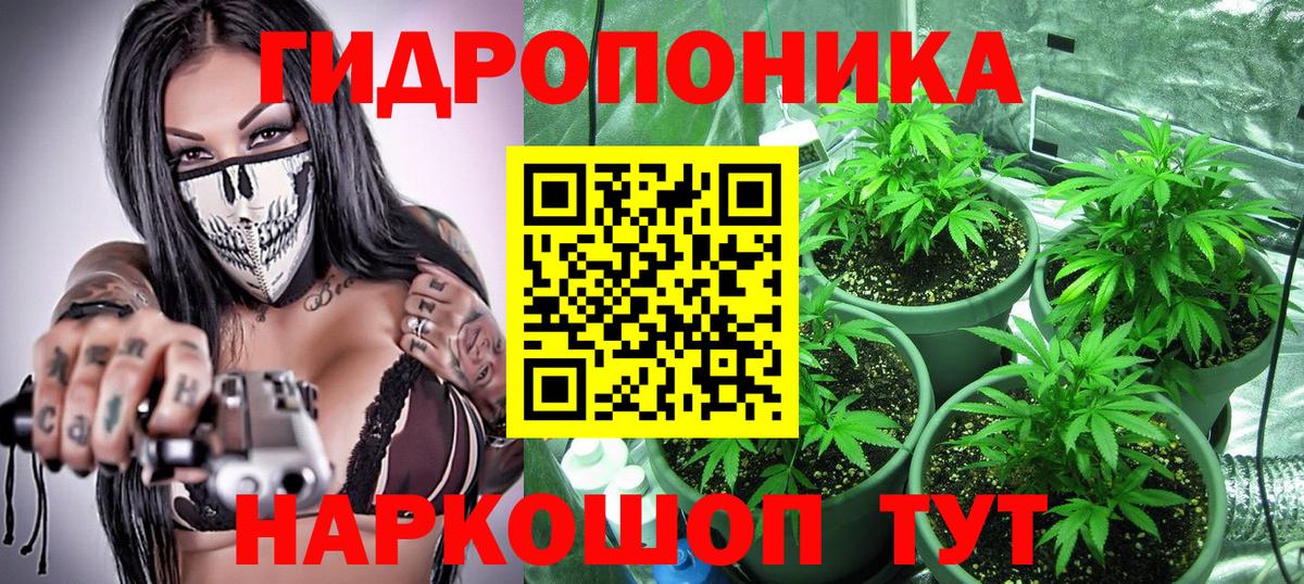 Шишки марихуана MAZAR  Конопля конопля  Стрежевой  Вход с VPN  Шишки марихуана марихуана 